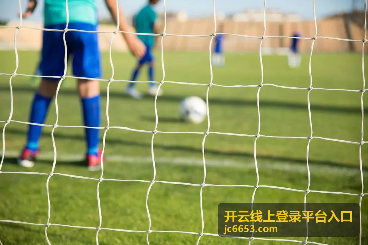 开云线上登录平台入口登录操作顺序示意